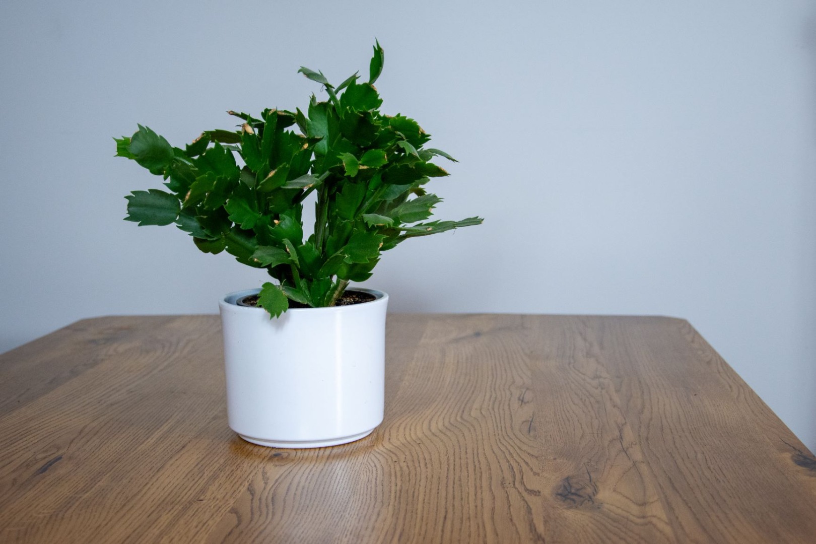 Rustic oak table — lighter grain preview